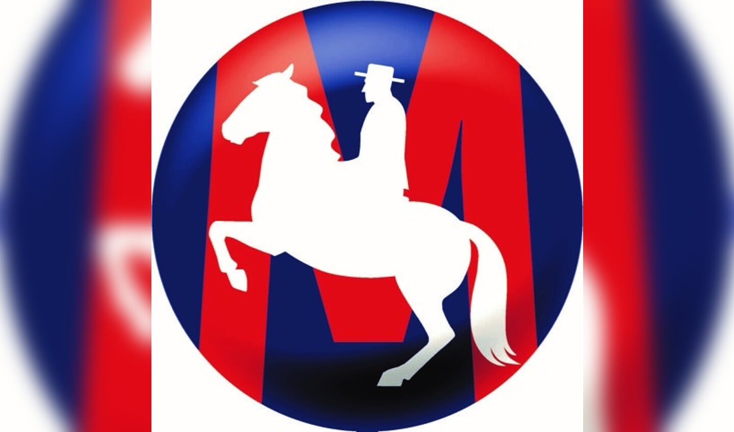 Logo Stal Mansour