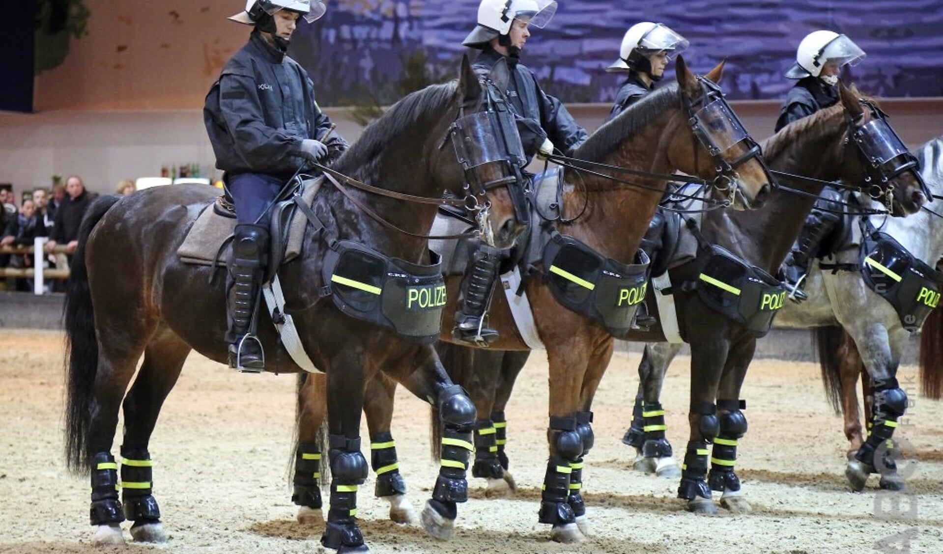 Bereden politie