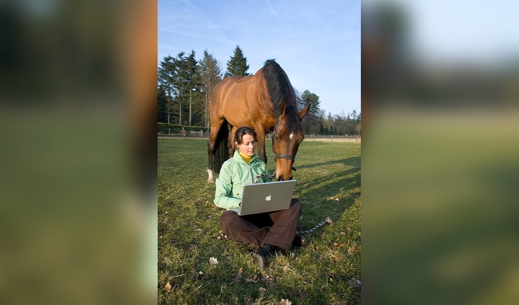 paard computer