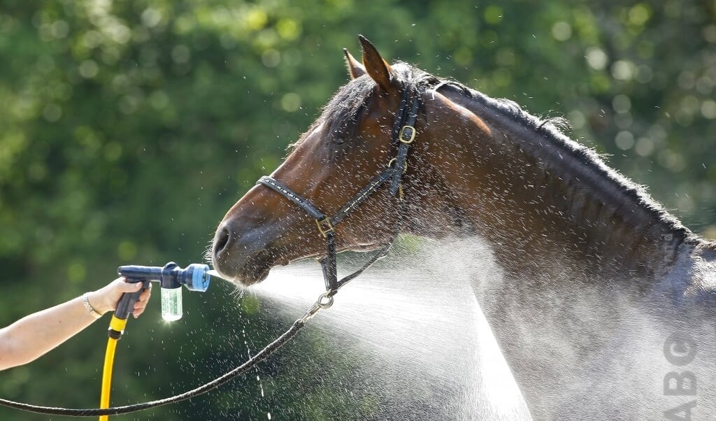 afspoelen water spuiten zon warm