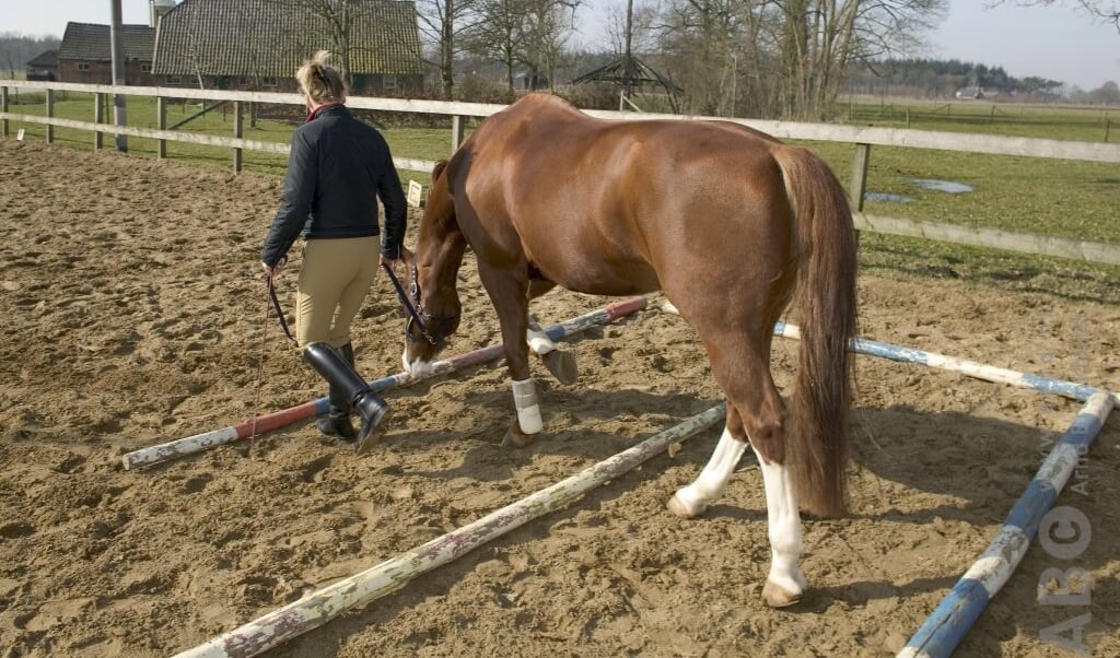 leren