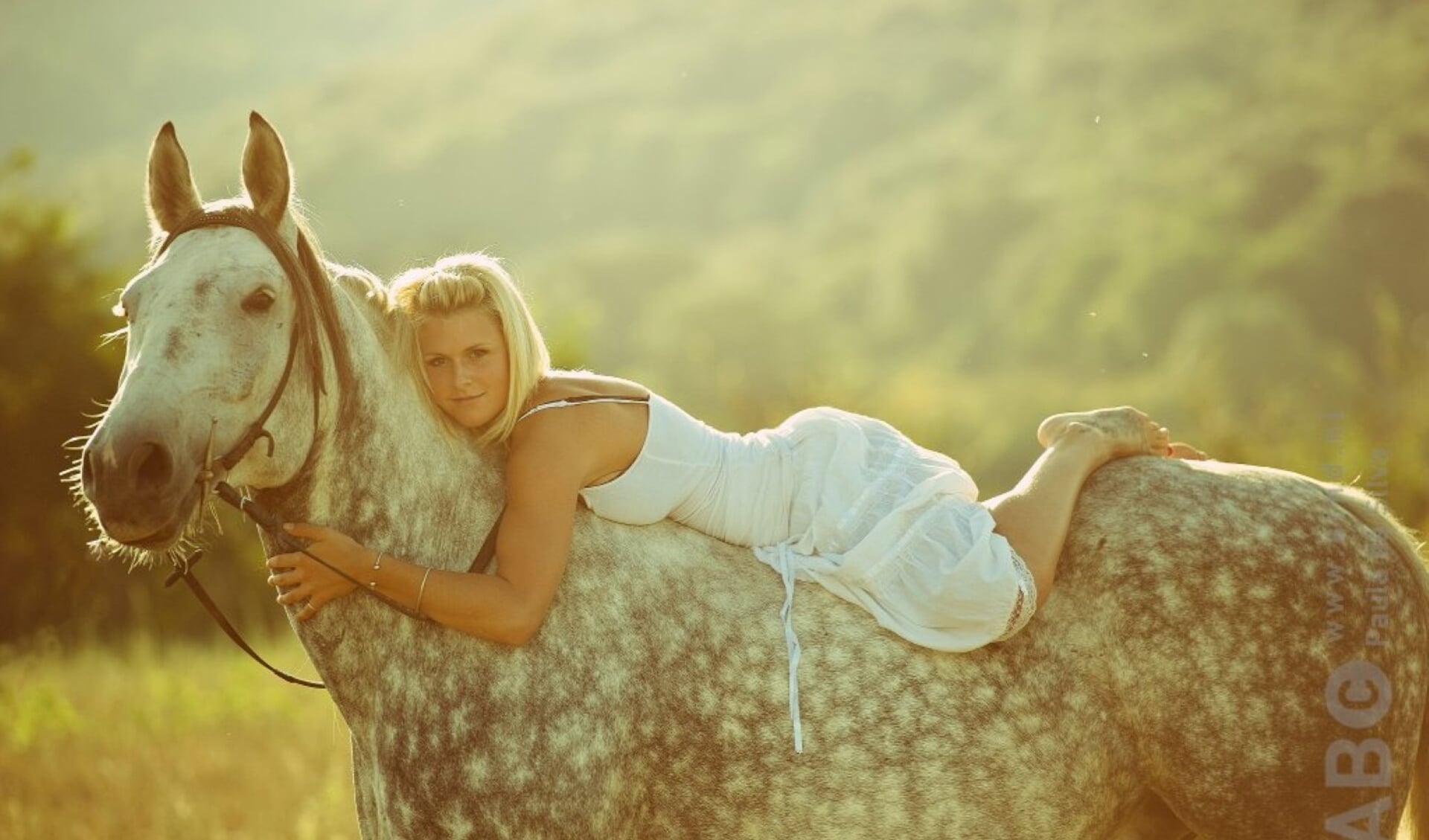 droom, liggen, meisje, paardenmeisje