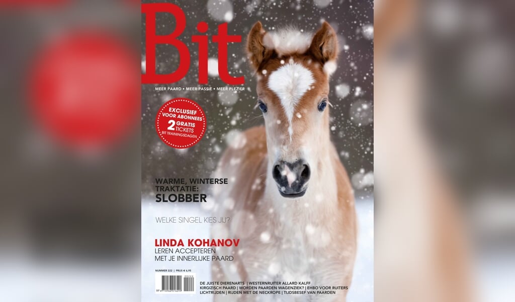 Bit cover 222 december 2014