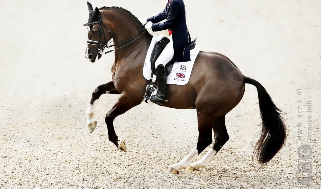 charlotte dujardin valegro