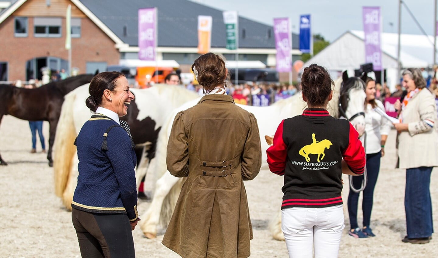 Horse Event, NK Vlechten, de jury