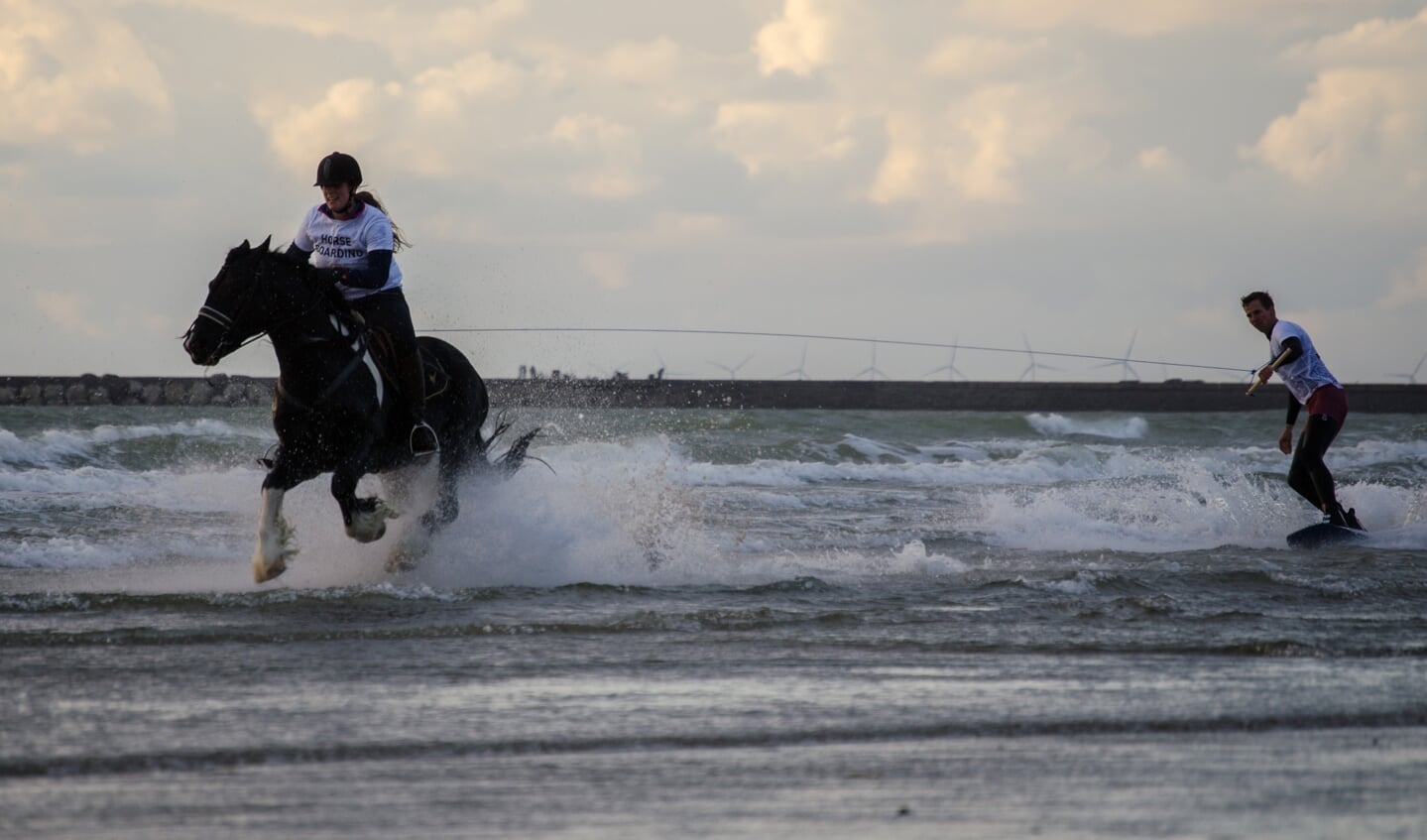 Horseboarding IJmuiden