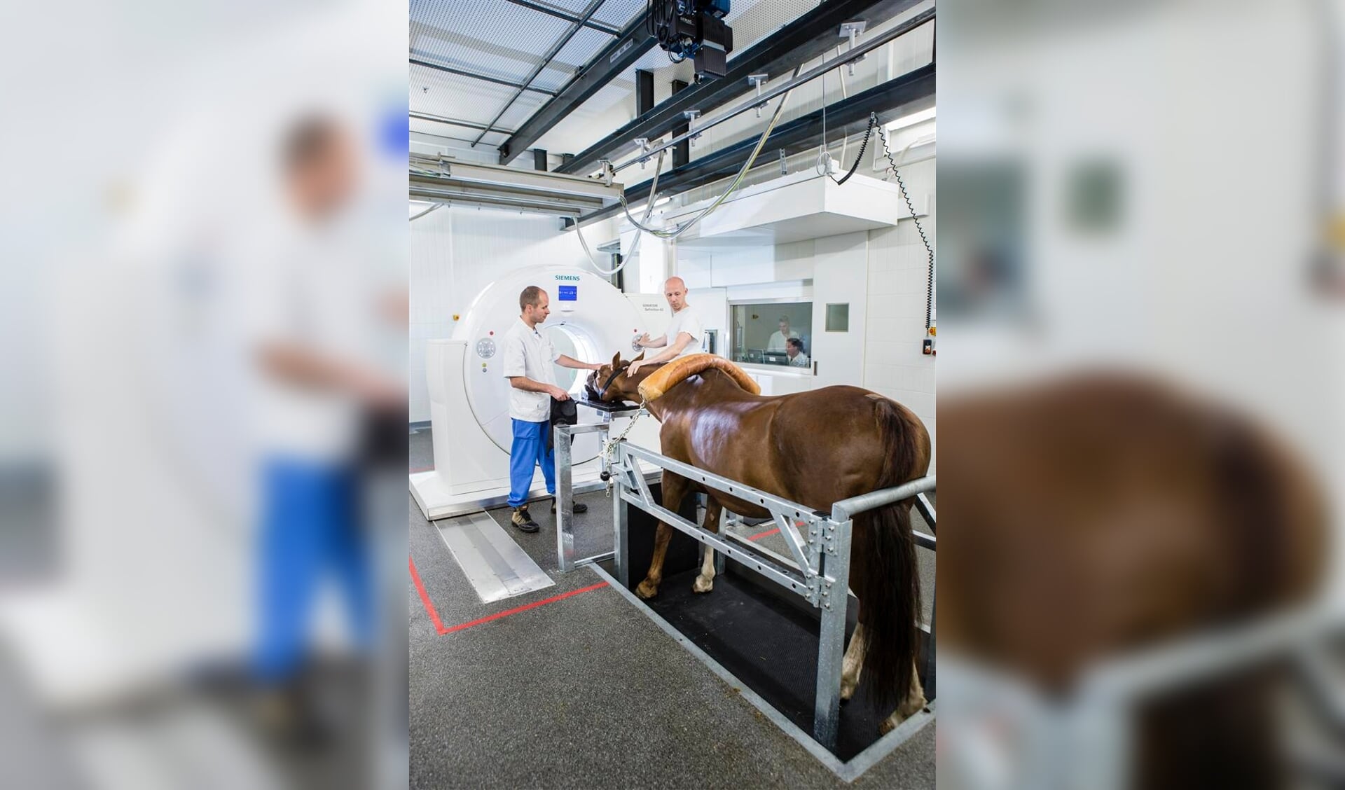 CT_Anesthesist en radiologisch laborant begeleiden paard_v1 actie_A3formaat (Large)