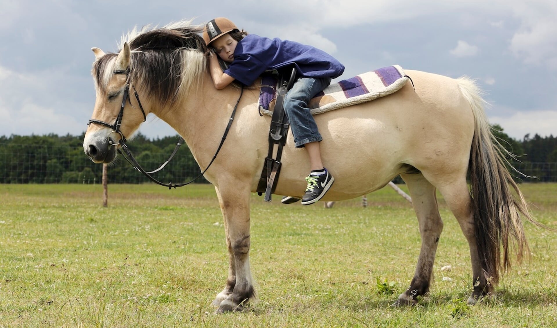 Neu Kaetwin, Pferd und Junge schlafen nach dem Reitunterricht