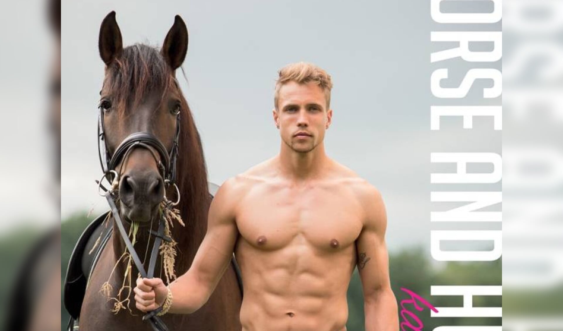 horse and hunk