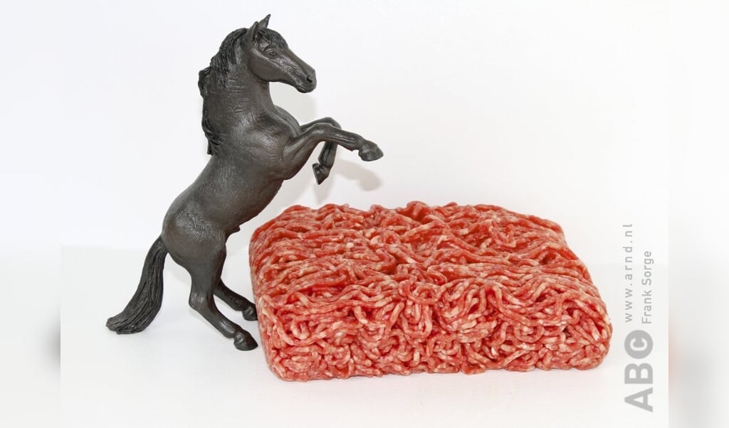paardenvlees vlees 