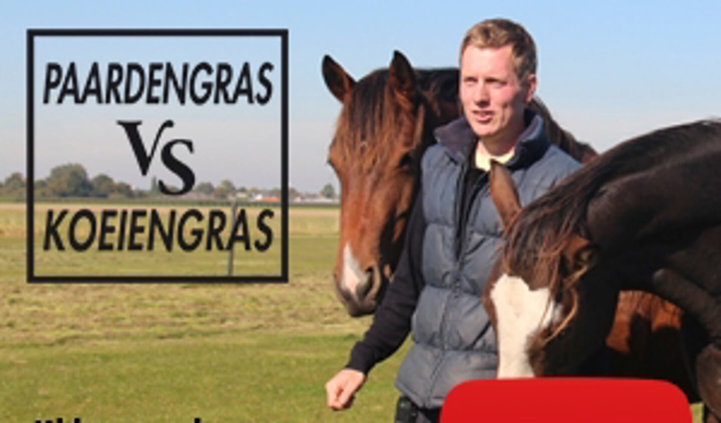 Rectangle_paardengras_versus_koeiengras