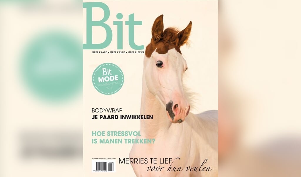 Cover 234