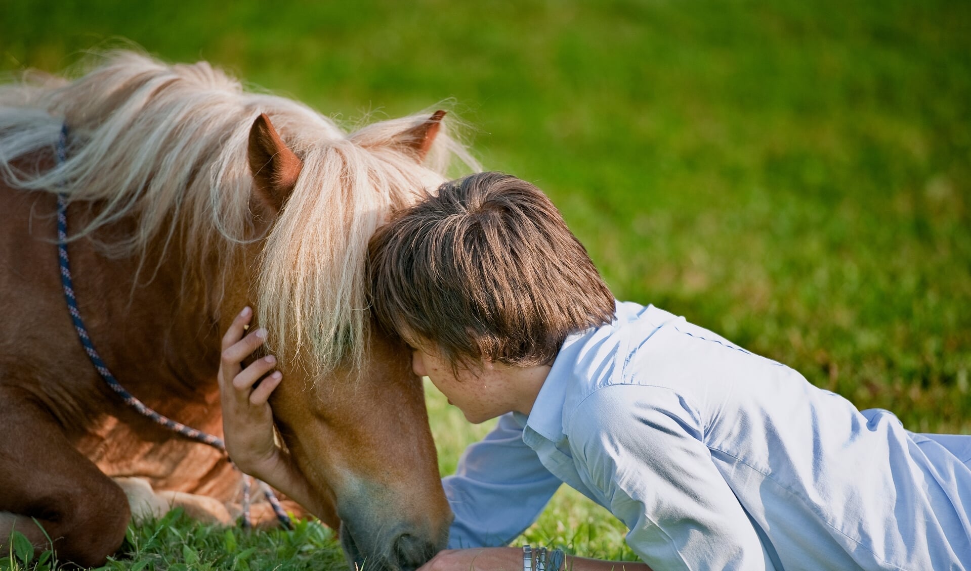 Jongen met pony