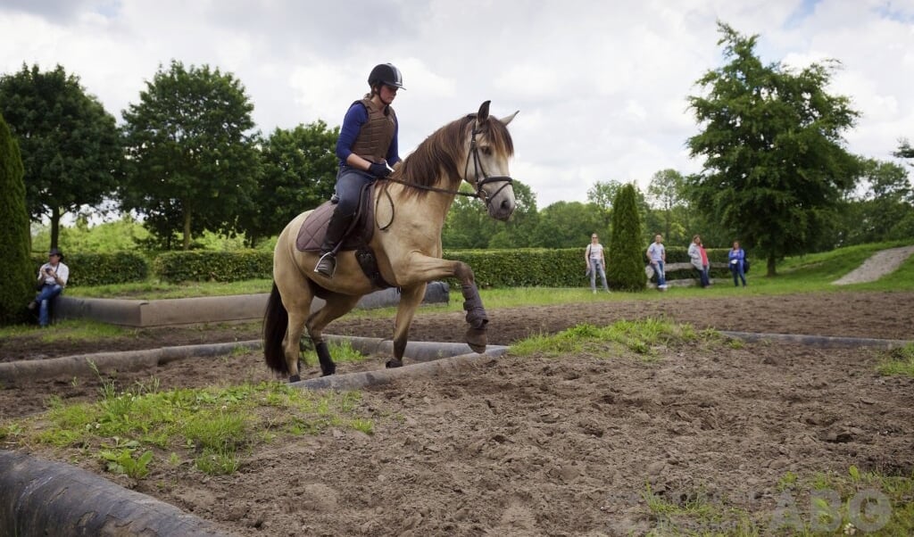 Cross Eventing Piano - Tessa Nederend