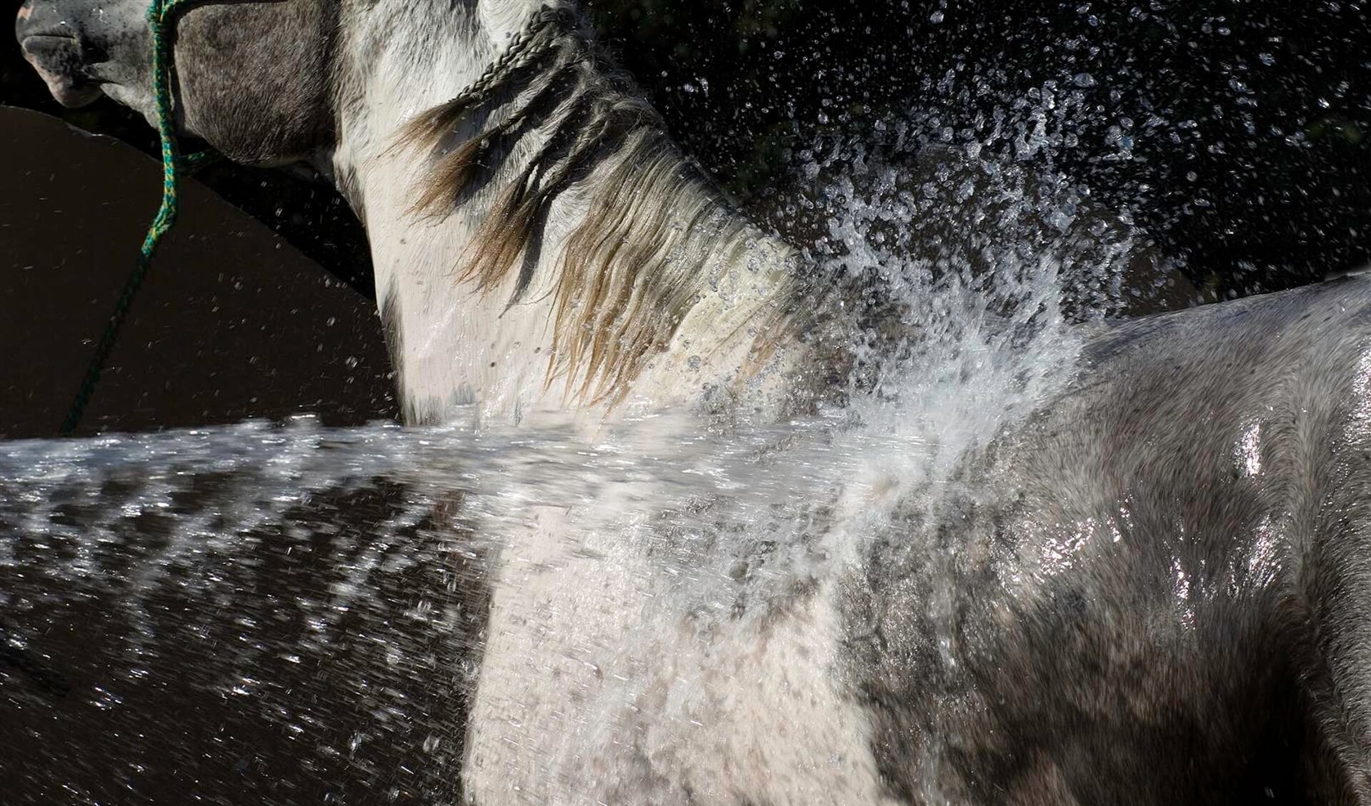 verkoeling koelen water afspuiten