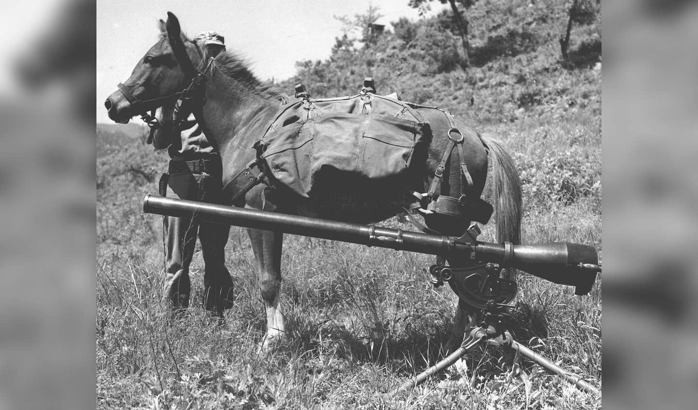 Sgt_Reckless_with_recoilless-rifle
