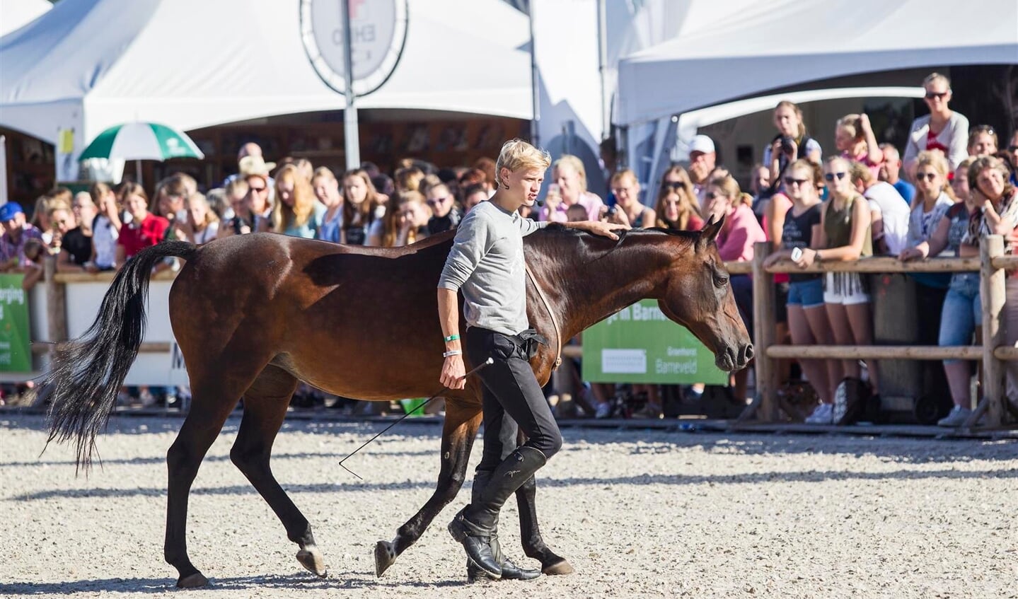horse-event-fotos-lonneke-ruesink-1