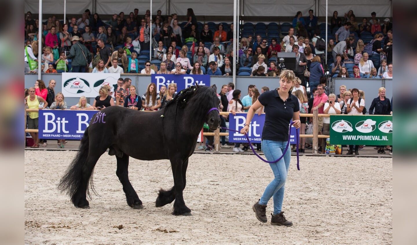 horse-event-fotos-julie-landrieu-2