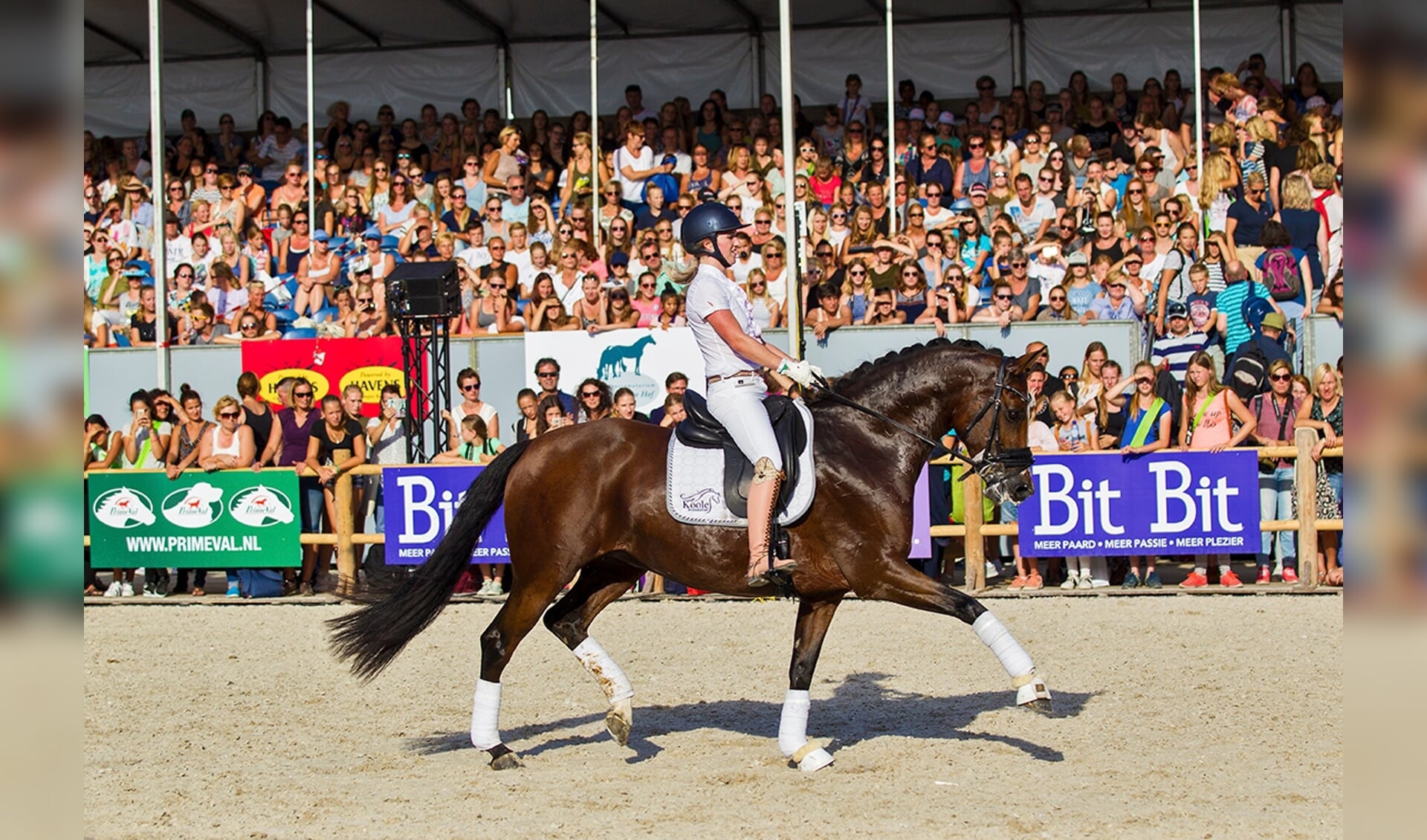 Horse Event met Britt Dekker - Bit & Cap