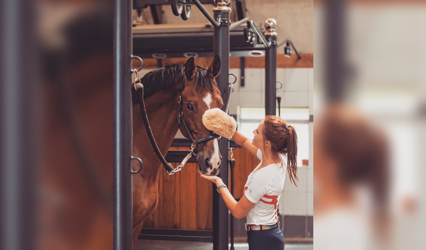 “Iedereen in de paardenwereld heeft het beste met zijn of haar paard voor.''