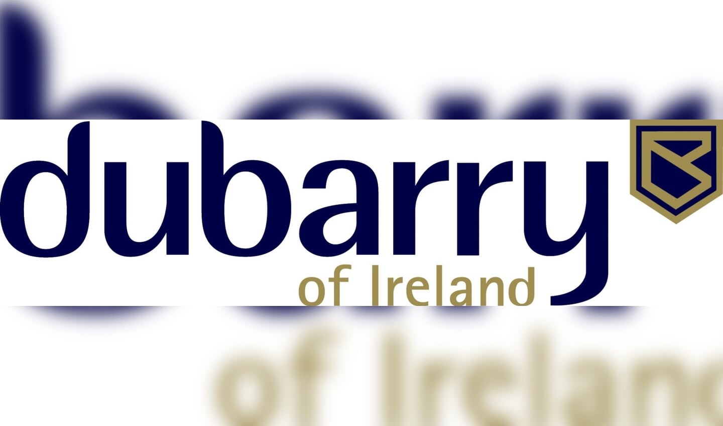 DUBARRY blue logo