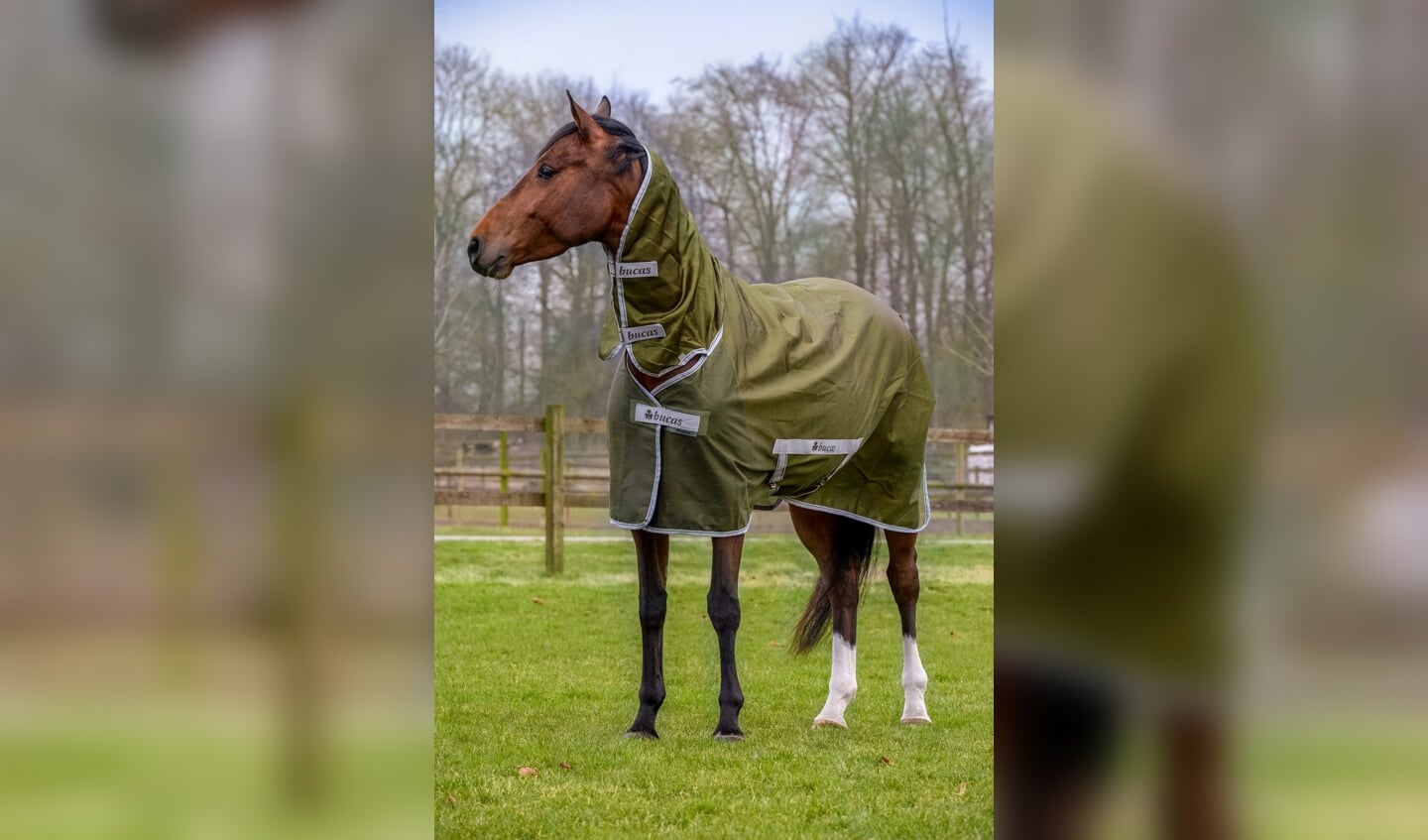 Freedom Fly Rug Olive 1655