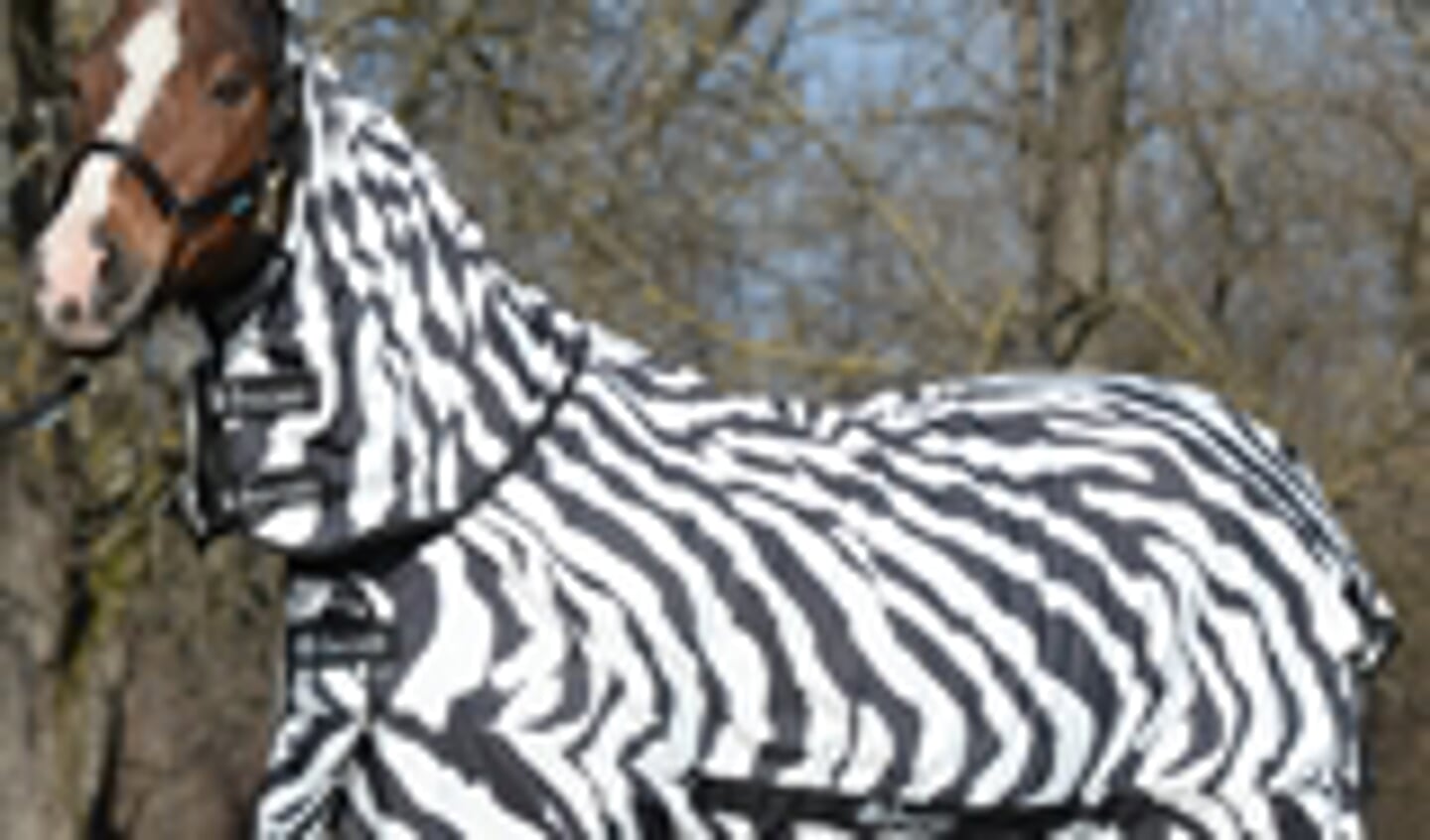 bucas zebra_160x110