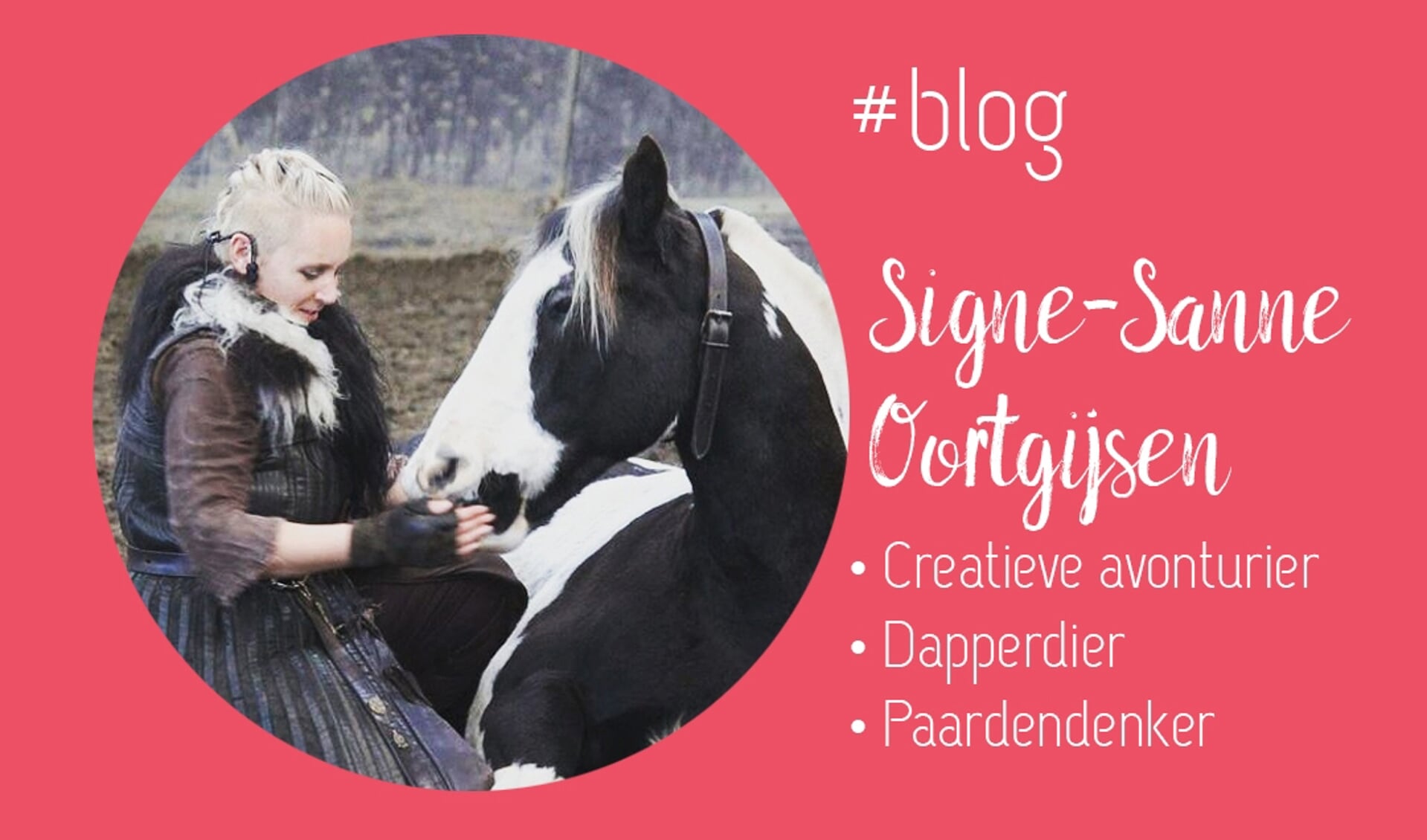 Blog Signe Sanne