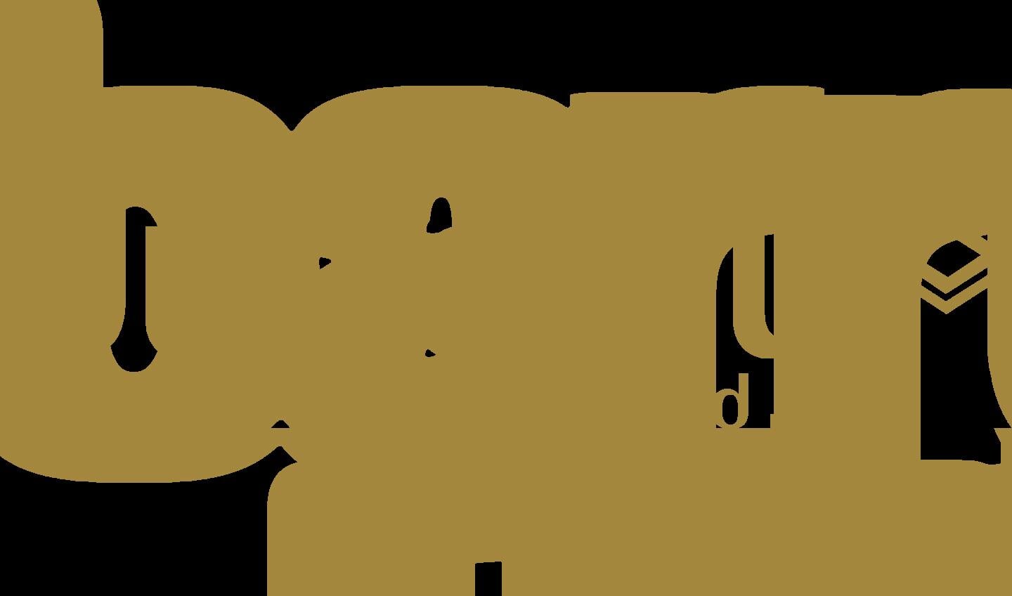 Logo Dubarry