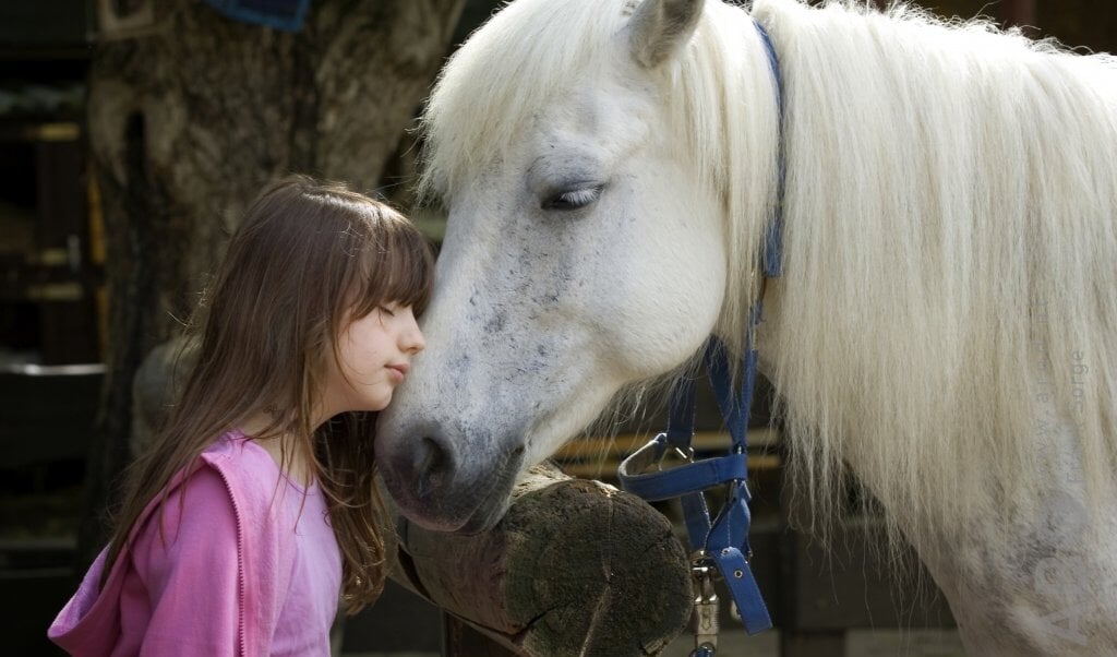 kinderen en paarden