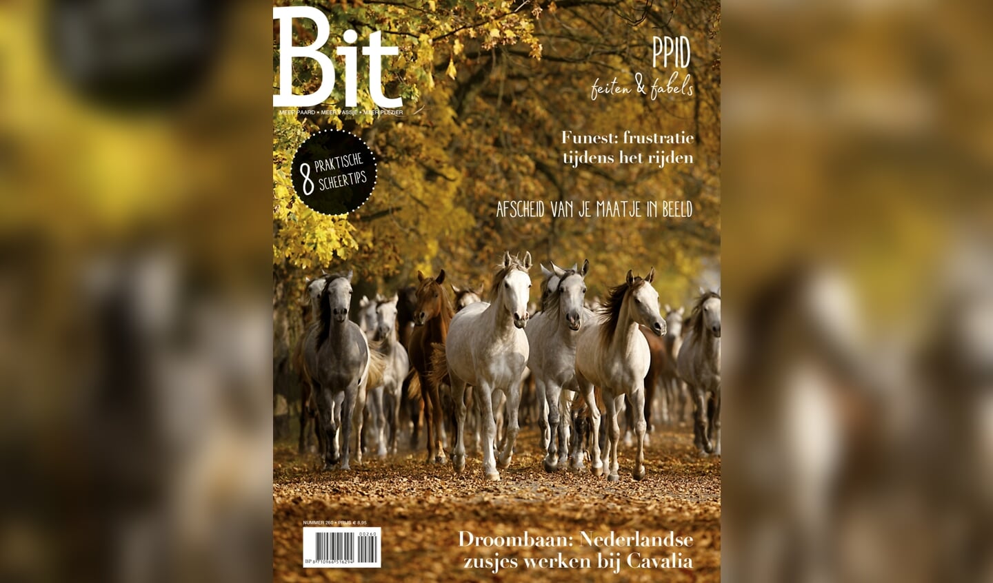 BIT_260-2018_Cover