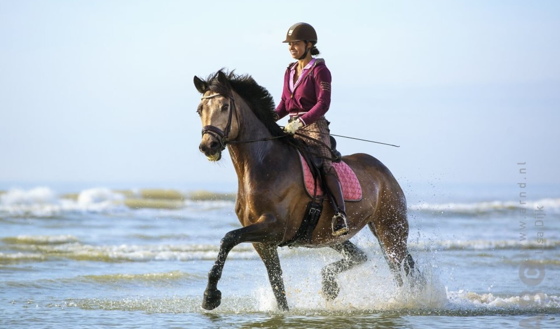 Vaak vindt een paard de eerste keer het strand al eng genoeg. Ga daarom niet meteen op het water af.