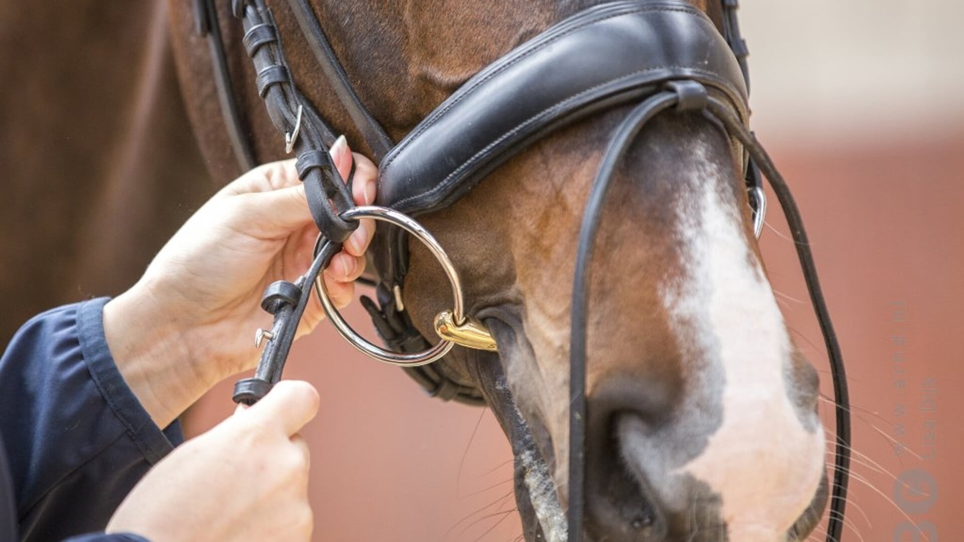 Let op als je de neusriem van je paard vastmaakt. De strak is NOOIT goed.