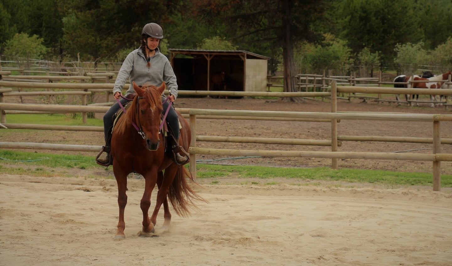 Irwin Insights cursist te paard