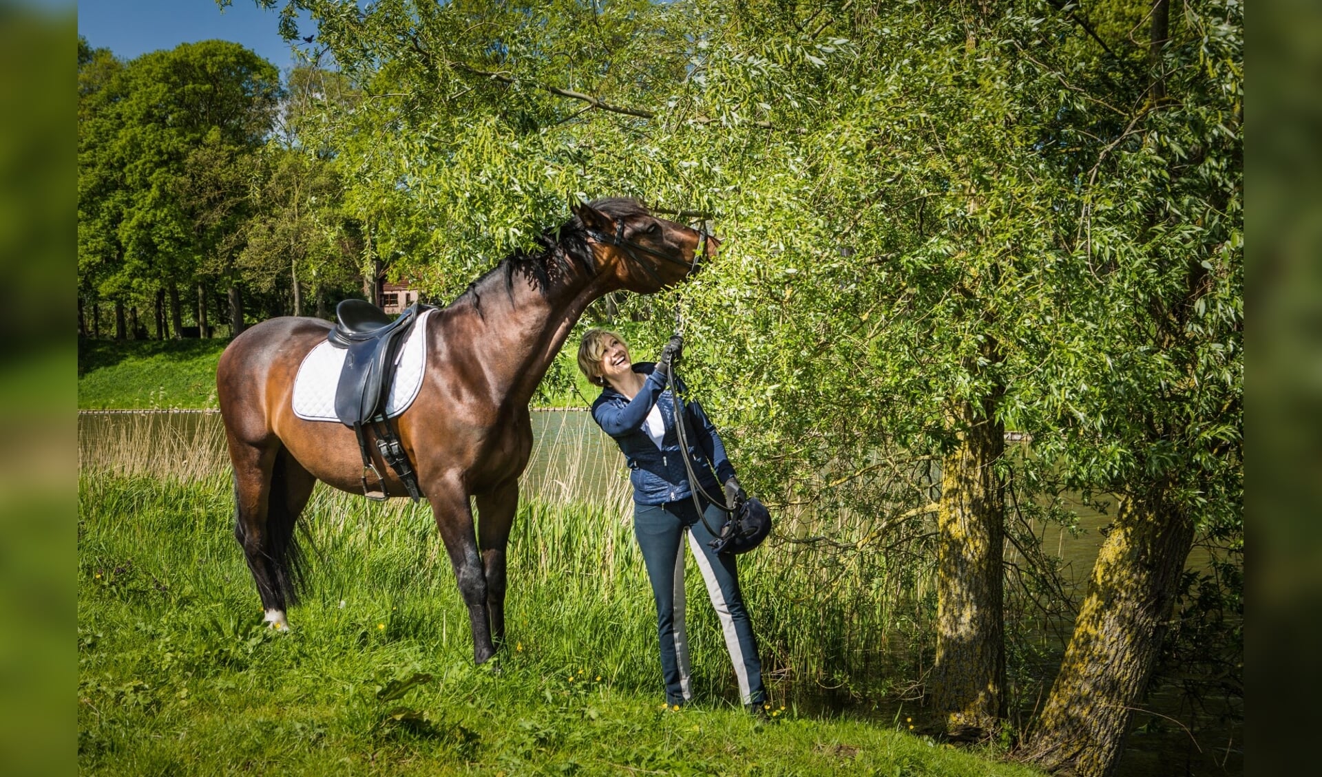 Editorial Dorien van dijk