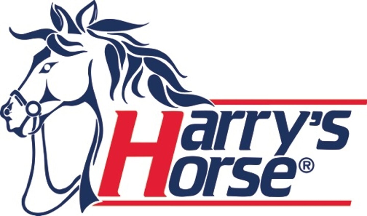 Harrys-Horse