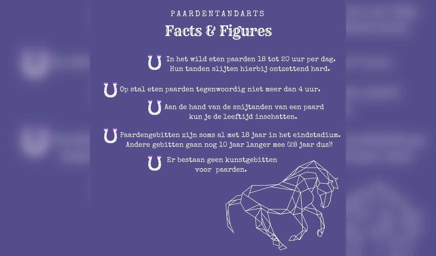 Paardentandarts infographic