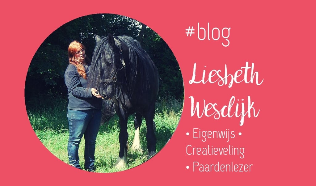 Liesbeth Wesdijk blog