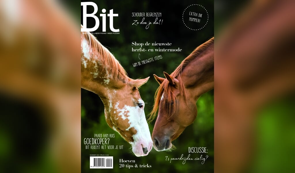 Cover BIT_259-2018