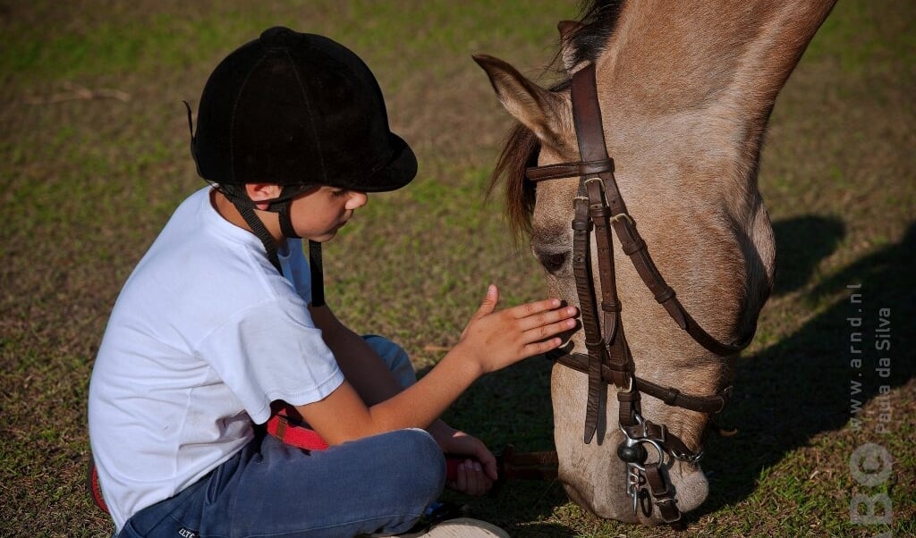 Kind pony liefde