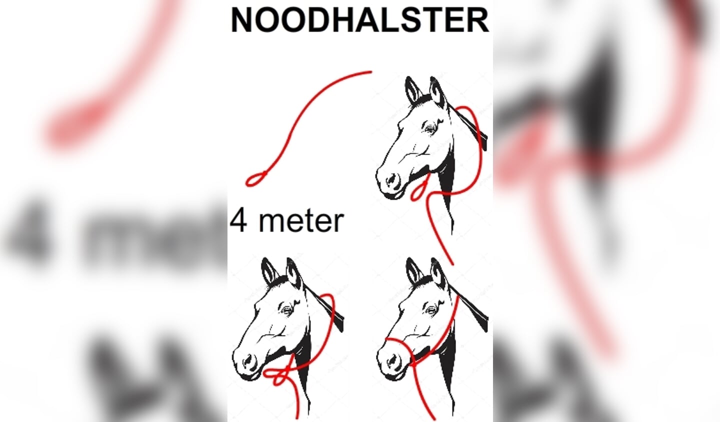 Noodhalster