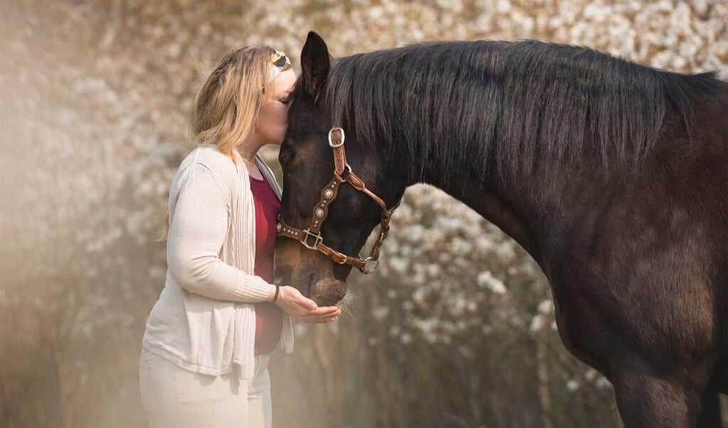 Mijn paard, mijn therapeut, Rossie