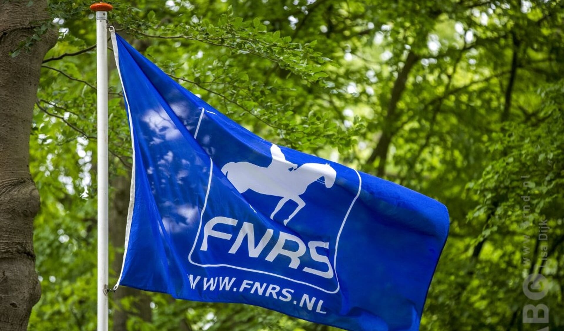 Vlag FNRS