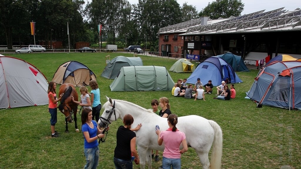 ponykamp