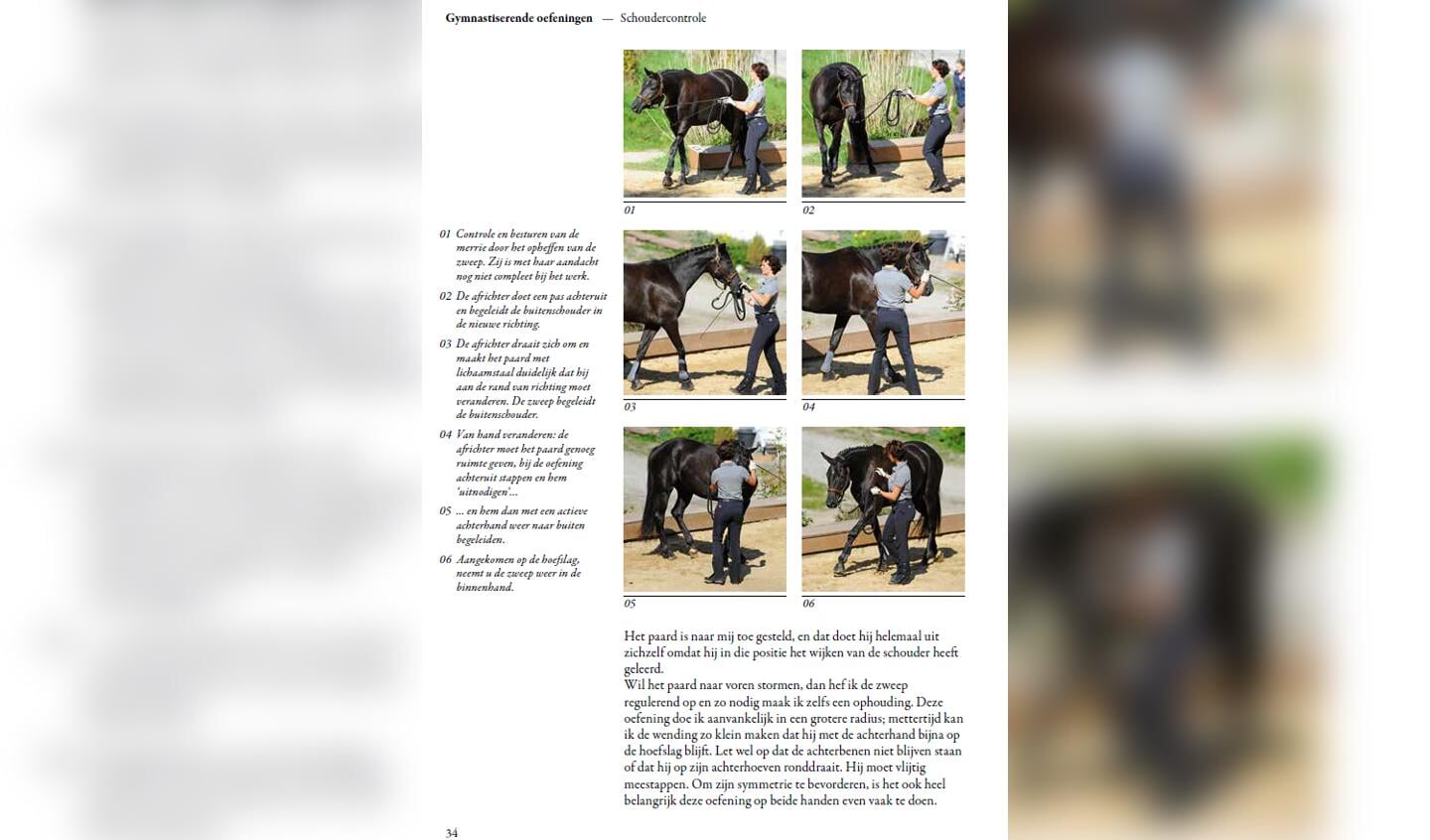 Paarden gymnastiseren aan de hand inhoud 3