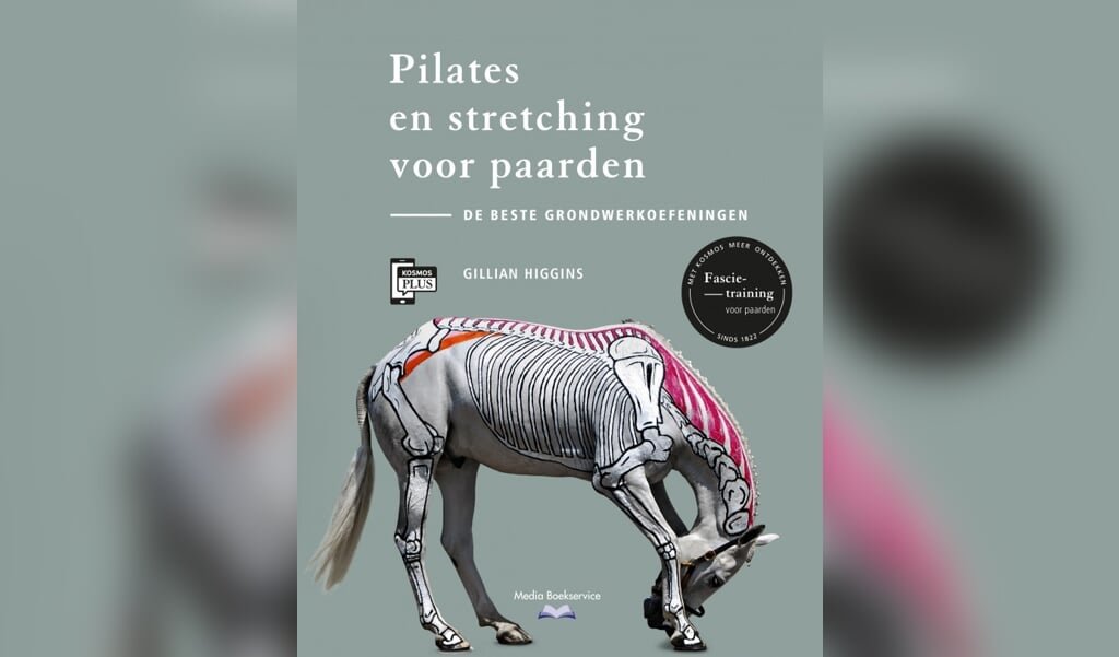 Pilates en stretching voor paarden