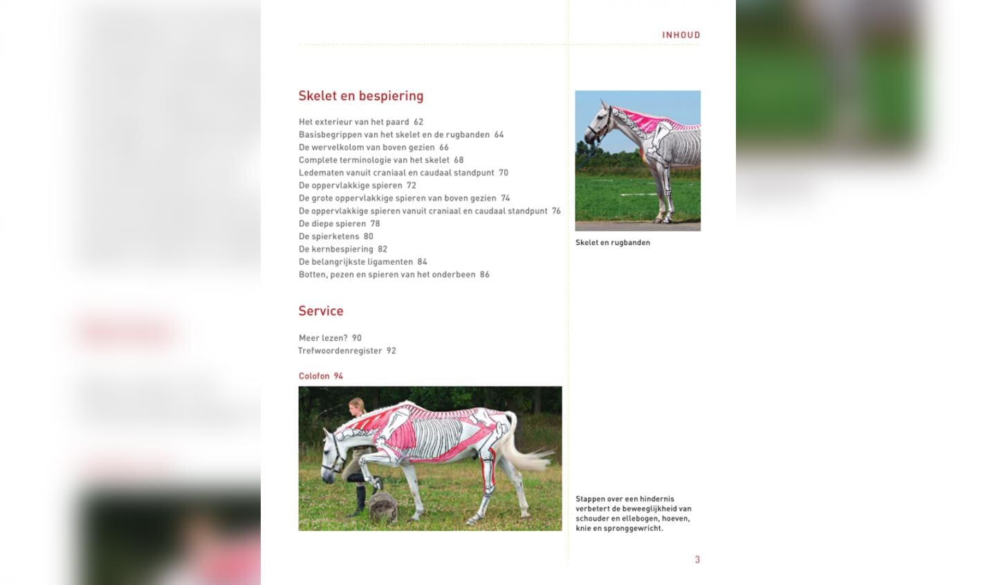 Pilates en stretching voor paarden inhoud 2