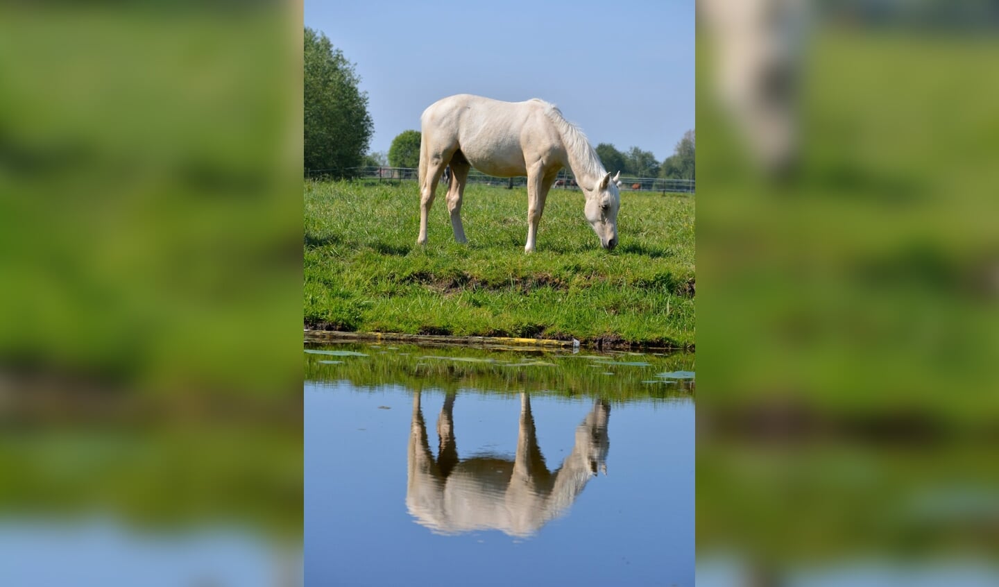 Melanie Neven Fotografie