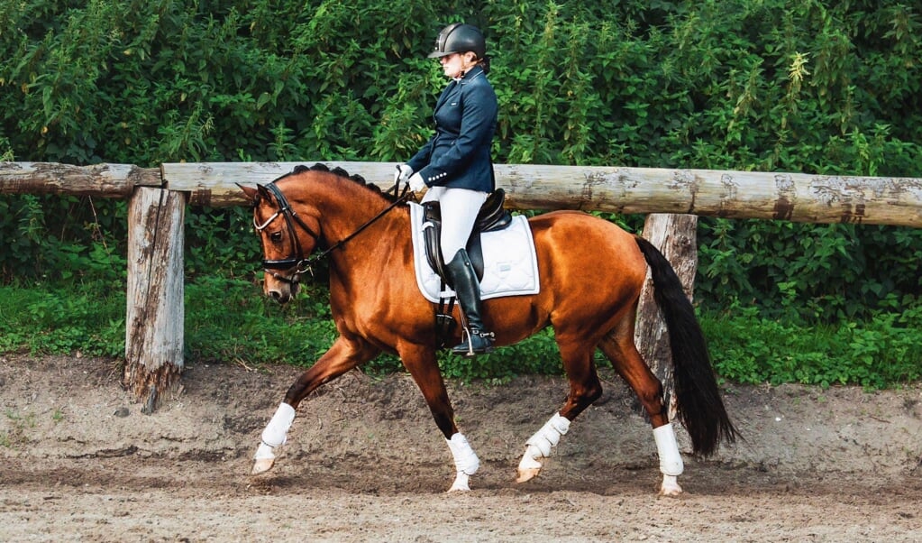 Anouk Elsackers start met haar “Het voelt onwerkelijk” | Het onafhankelijke paarden(sport)medium