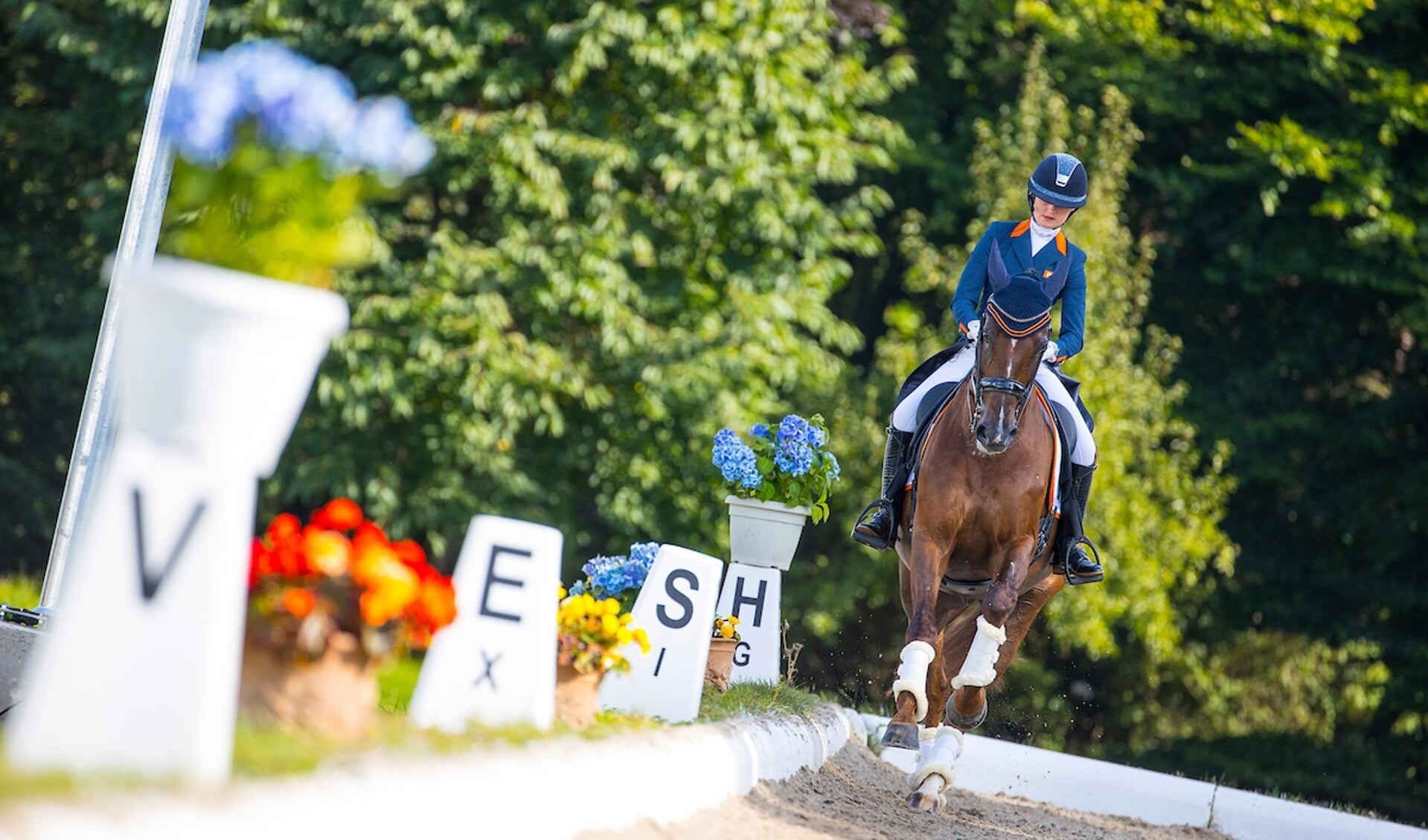 Devenda Dijkstra - Hero
Longines FEI Dressage European Championships 2021
© DigiShots